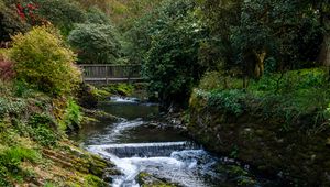 Preview wallpaper river, trees, bridge, nature