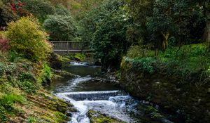 Preview wallpaper river, trees, bridge, nature