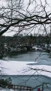 Preview wallpaper river, trees, bridge, branches, snow, park