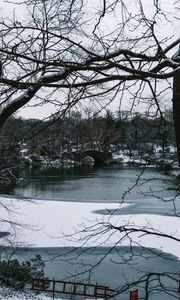 Preview wallpaper river, trees, bridge, branches, snow, park