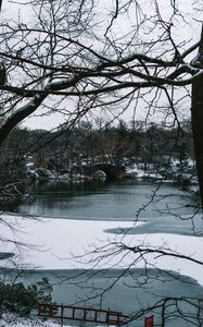 Preview wallpaper river, trees, bridge, branches, snow, park