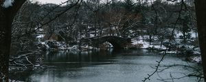 Preview wallpaper river, trees, bridge, branches, snow, park