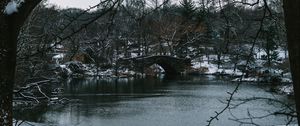 Preview wallpaper river, trees, bridge, branches, snow, park