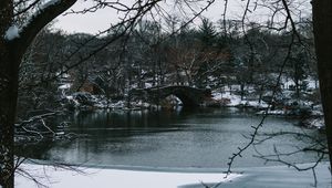 Preview wallpaper river, trees, bridge, branches, snow, park