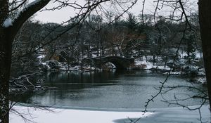 Preview wallpaper river, trees, bridge, branches, snow, park