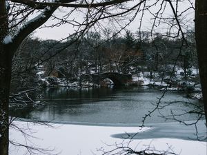 Preview wallpaper river, trees, bridge, branches, snow, park