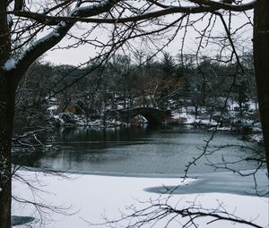 Preview wallpaper river, trees, bridge, branches, snow, park