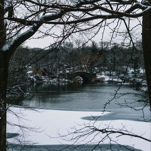 Preview wallpaper river, trees, bridge, branches, snow, park