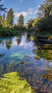 Preview wallpaper river, trees, bushes, water, nature