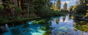 Preview wallpaper river, trees, bushes, water, nature