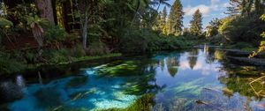 Preview wallpaper river, trees, bushes, water, nature