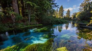 Preview wallpaper river, trees, bushes, water, nature