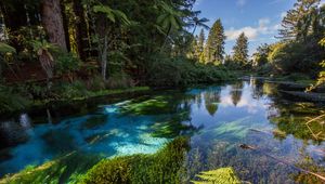 Preview wallpaper river, trees, bushes, water, nature