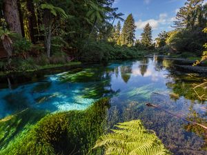 Preview wallpaper river, trees, bushes, water, nature