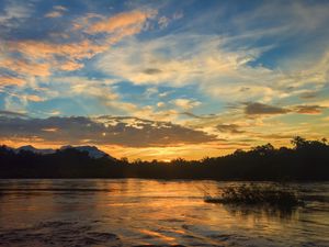 Preview wallpaper river, trees, evening, landscape