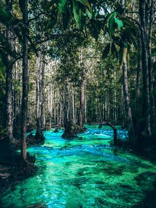 Preview wallpaper river, trees, flow, branches