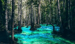 Preview wallpaper river, trees, flow, branches
