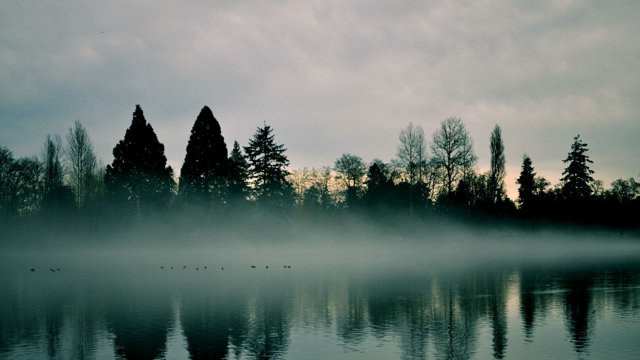 Wallpaper river, trees, fog, reflection