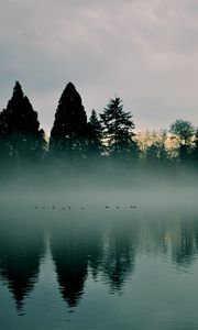 Preview wallpaper river, trees, fog, reflection
