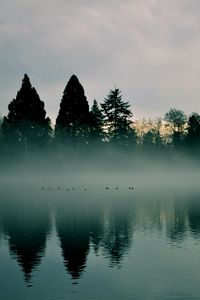Preview wallpaper river, trees, fog, reflection