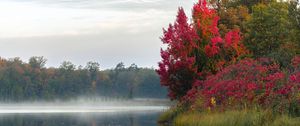 Preview wallpaper river, trees, fog, morning, nature