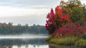 Preview wallpaper river, trees, fog, morning, nature