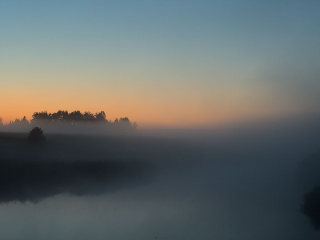 1024x768 Wallpaper river, trees, fog, landscape, nature