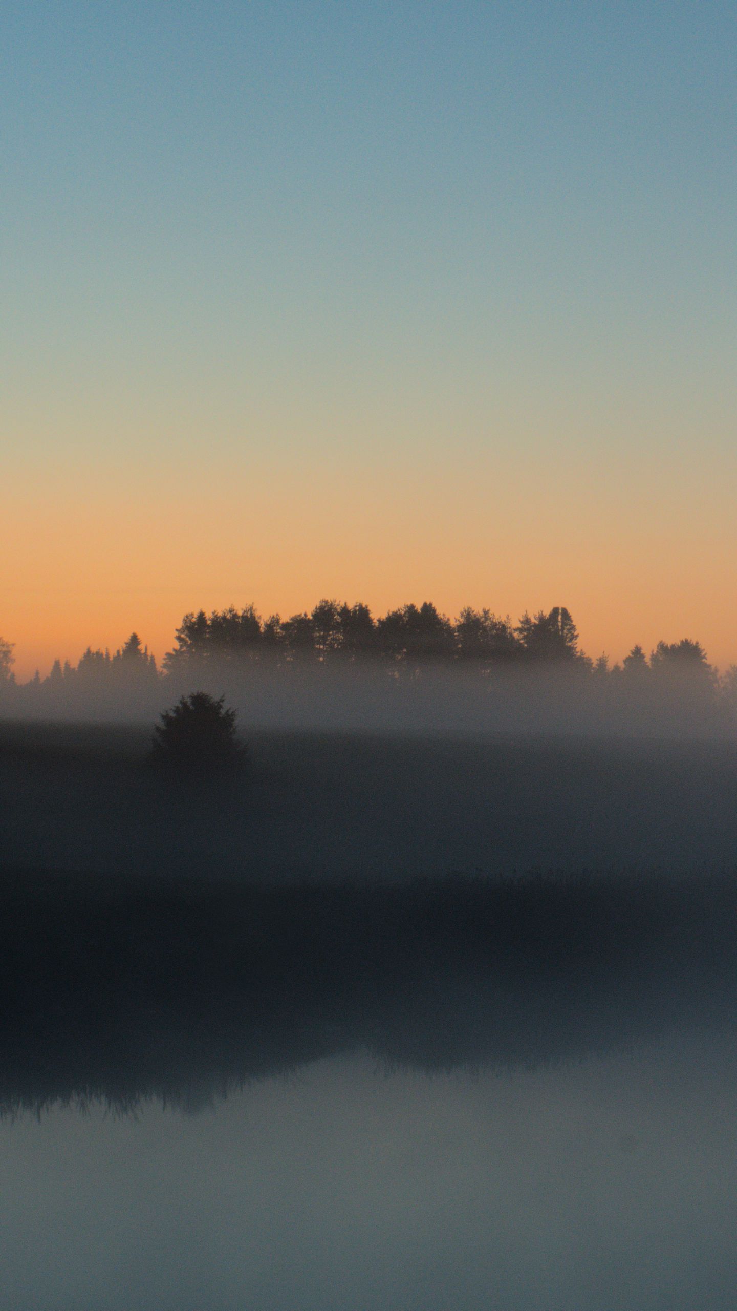 1440x2560 Wallpaper river, trees, fog, landscape, nature