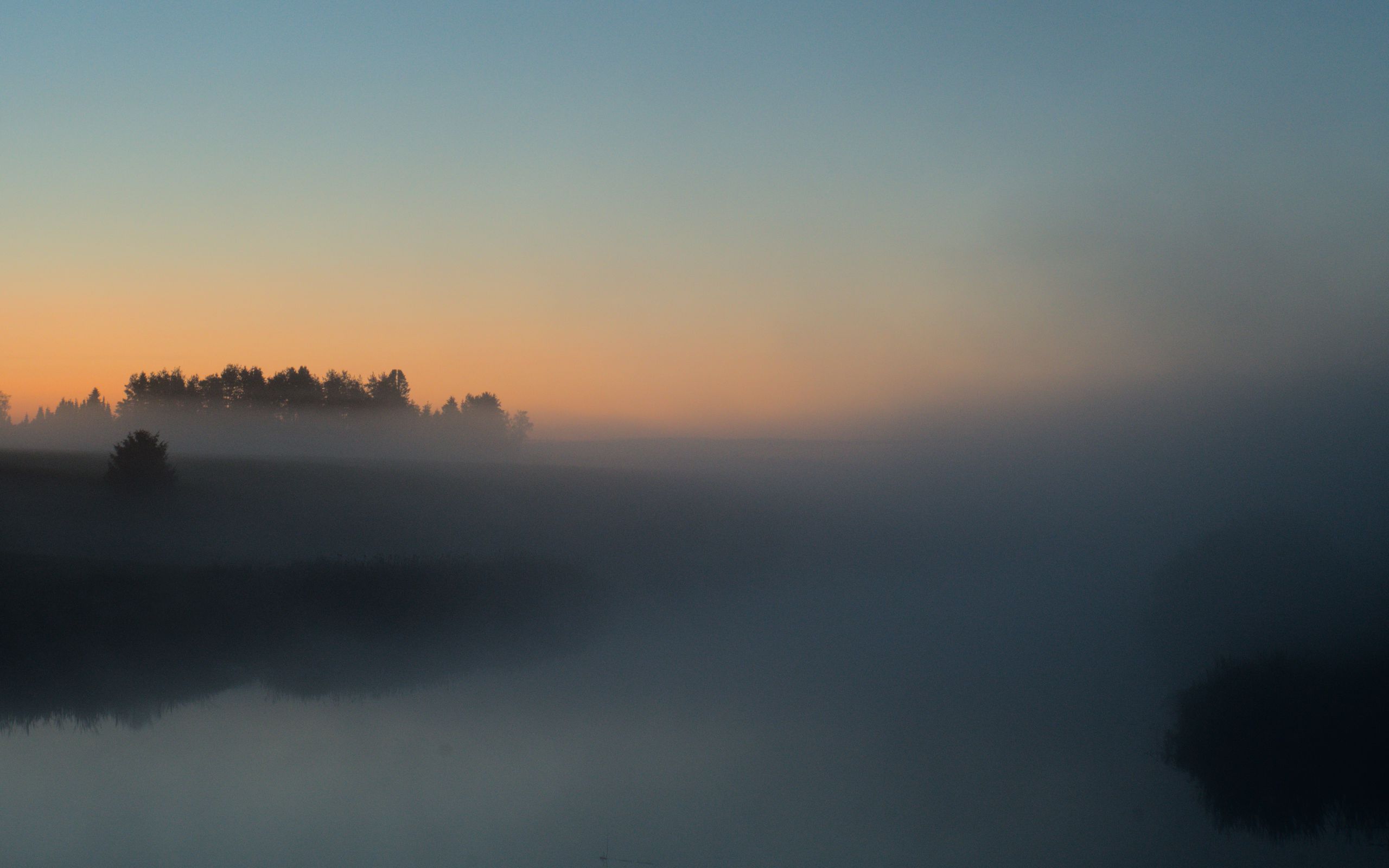 2560x1600 Wallpaper river, trees, fog, landscape, nature