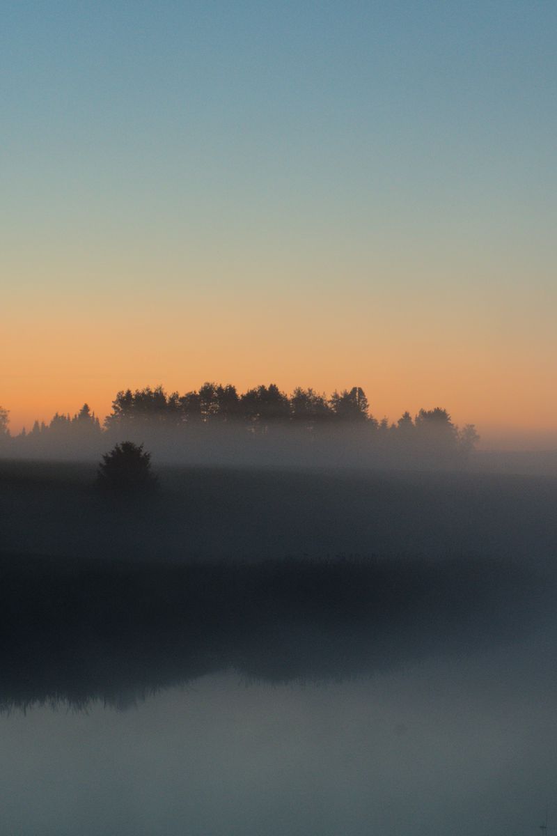 800x1200 Wallpaper river, trees, fog, landscape, nature