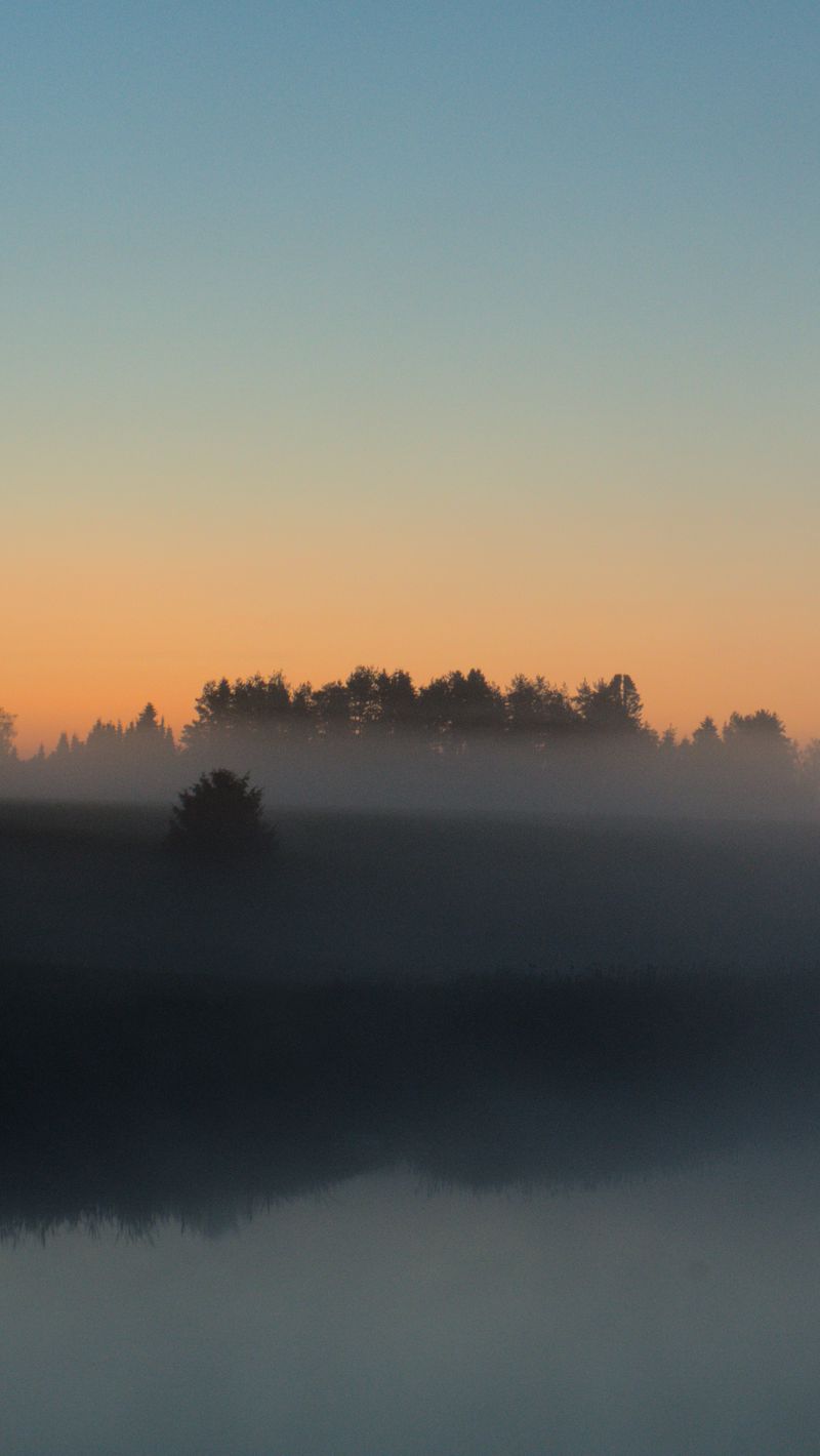 800x1420 Wallpaper river, trees, fog, landscape, nature