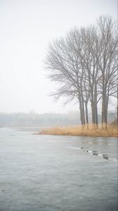 Preview wallpaper river, trees, fog, ice