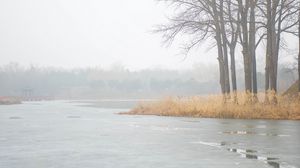 Preview wallpaper river, trees, fog, ice