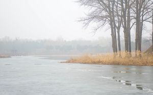 Preview wallpaper river, trees, fog, ice