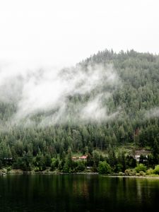 Preview wallpaper river, trees, fog, landscape