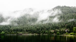 Preview wallpaper river, trees, fog, landscape