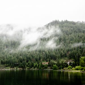 Preview wallpaper river, trees, fog, landscape