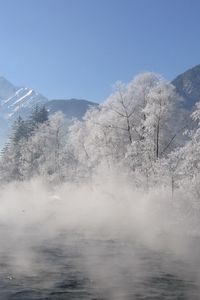 Preview wallpaper river, trees, fog, morning, haze