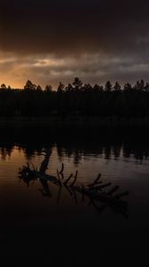 Preview wallpaper river, trees, forest, silhouettes, evening