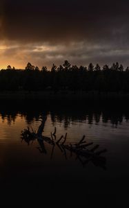 Preview wallpaper river, trees, forest, silhouettes, evening