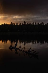 Preview wallpaper river, trees, forest, silhouettes, evening