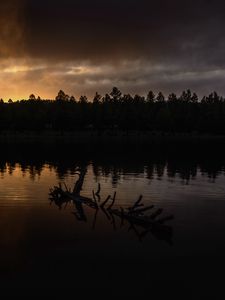 Preview wallpaper river, trees, forest, silhouettes, evening
