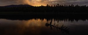 Preview wallpaper river, trees, forest, silhouettes, evening