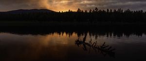 Preview wallpaper river, trees, forest, silhouettes, evening