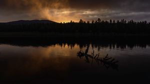 Preview wallpaper river, trees, forest, silhouettes, evening