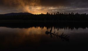 Preview wallpaper river, trees, forest, silhouettes, evening
