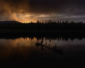 Preview wallpaper river, trees, forest, silhouettes, evening