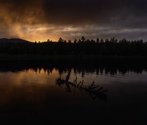 Preview wallpaper river, trees, forest, silhouettes, evening