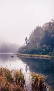 Preview wallpaper river, trees, forest, nature, landscape, grass