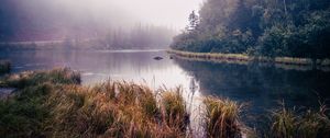 Preview wallpaper river, trees, forest, nature, landscape, grass